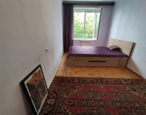 Cosy Shared Apartment near Botanical Garden
